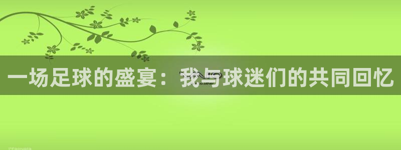 江南娱乐jn平台下载:一场足球的盛宴:我与球迷们的共同回忆