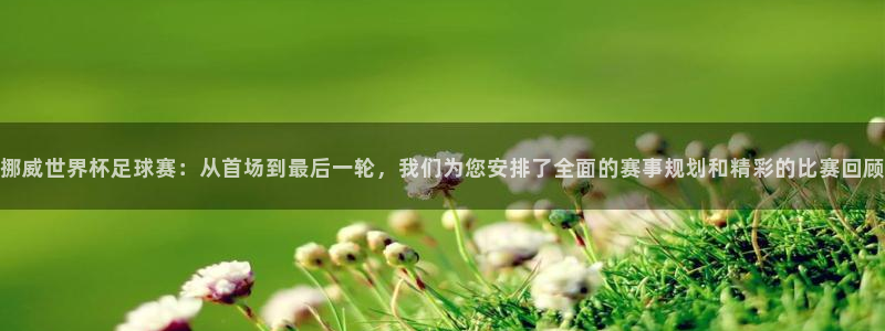 jn江南·体育网页版:挪威世界杯足球赛:从首场到最后一轮,我